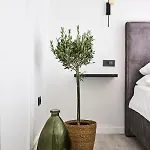 Apartament Royal Rei *