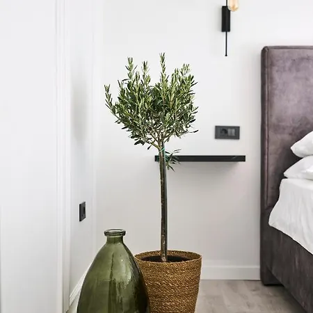 Apartment Royal Rei *